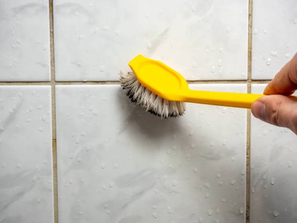 Best Health and Safety Mold Remediation in Robersonville, NC