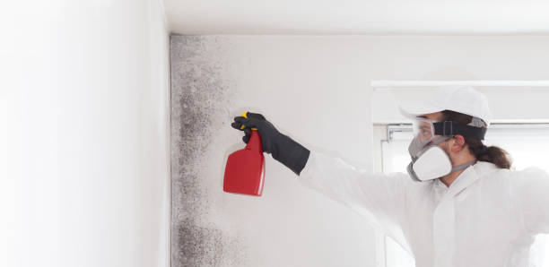 Robersonville, NC Mold Remediation Company